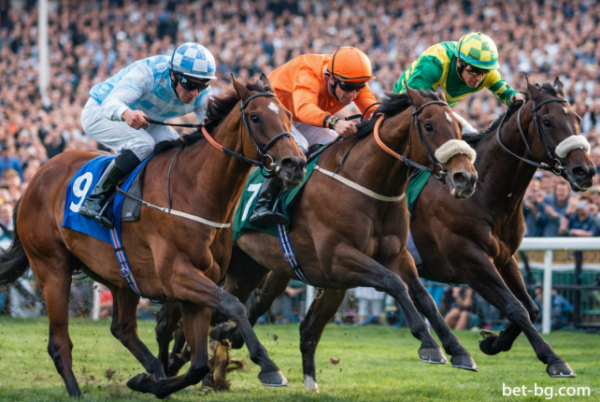 bet365